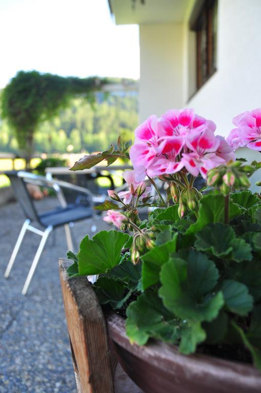 Roessle Appartement Bezau Dış mekan fotoğraf